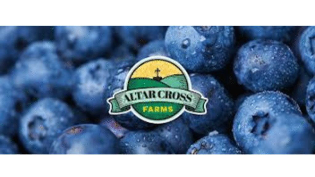 Altar Cross Sees Record Organic Blueberry Yields Altar Cross Sees Record Organic Blueberry Yields _Agriculture