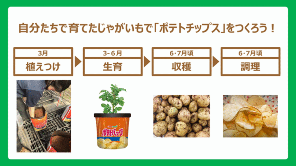 Calbee Launches Educational Potato Growing Program in Schools Calbee Launches Educational Potato Growing Program in Schools _Agriculture