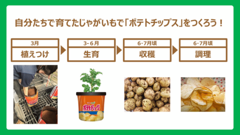 Calbee Launches Educational Potato Growing Program in Schools Calbee Launches Educational Potato Growing Program in Schools _Agriculture