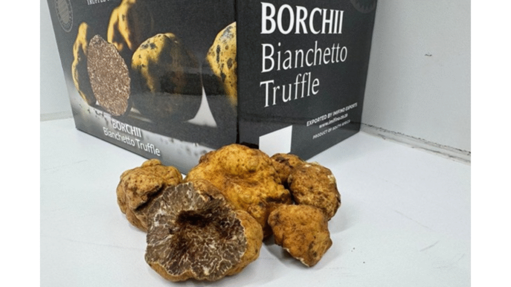 South African Bianchetto Truffles Ready For Export South African Bianchetto Truffles Ready For Export _Product