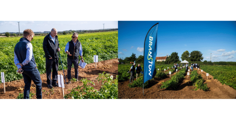 Potato growers gather to unearth the next generation of crops Potato growers gather to unearth the next generation of crops _agro
