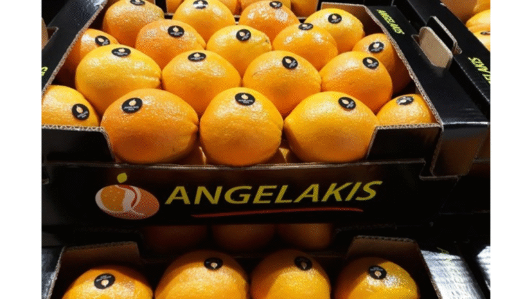 Angelakis Fruits reports higher orange yield, fewer Clementines _Market