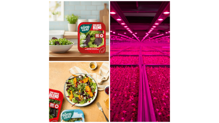 GoodLeaf Farms Unveils Canadian-Grown True North Blend Introducing True North Blend: A celebration of Canadian-grown innovation from GoodLeaf Farms _Supply Chain