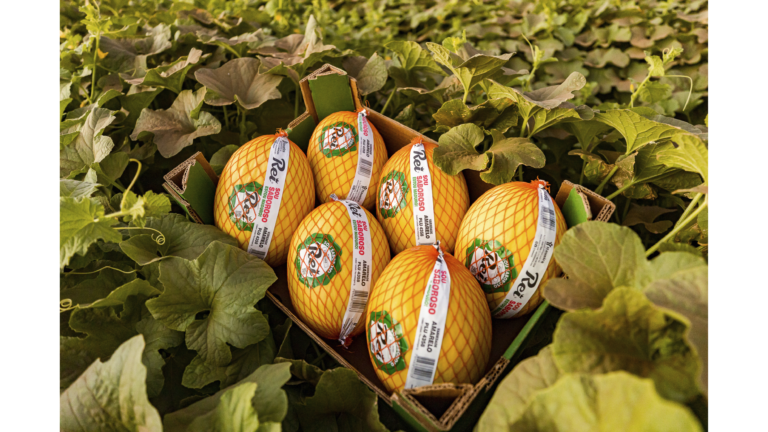 Itaueira Agropecuária Showcases Innovation in São Paulo Itaueira Agropecuária S.A. Showcases Innovation at Fruit Attraction São Paulo 2026 _Processing