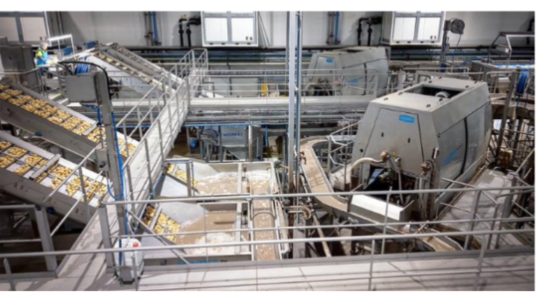 Wyma’s Guide: Choosing a Post-Harvest Partner Wyma's Guide: Choosing a Post-Harvest Partner_Processing